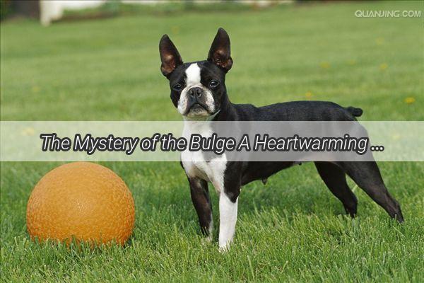 The Mystery of the Bulge A Heartwarming Tale of a OneYearOld Dogs Neck lump